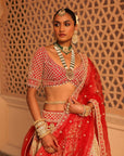 Naazreen - Red Lehenga with Blouse and Dupatta