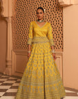 Noorali - Mustard Lehenga with Choli and Dupatta