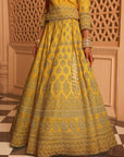 Noorali - Mustard Lehenga with Choli and Dupatta