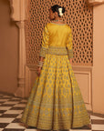 Noorali - Mustard Lehenga with Choli and Dupatta