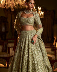 Sage Green Cut Work Lehenga Set