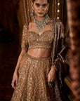 Mustard Tissue Lehenga Set