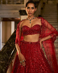 Red crystal Lehenga Set