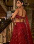 Red crystal Lehenga Set