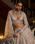 Nude Silver cut Work Lehenga Set