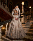 Nude Silver cut Work Lehenga Set