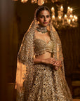 Gold Cut Work Lehenga Set