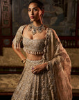 Gold Silver Tissue Lehenga Set