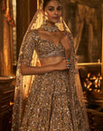 Antique Gold Tissue Lehenga Set