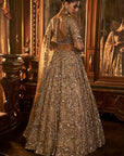 Antique Gold Tissue Lehenga Set