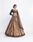 Deep Green Copper Tissue Lehenga Set