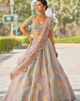 Powder Grey Multicolor Flower Lehenga Set