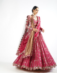 Mellow Wine Small Flower Linear Lehenga Set