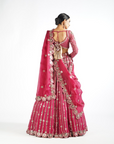 Mellow Wine Small Flower Linear Lehenga Set