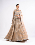 Beige Linear Drop Lehenga Set