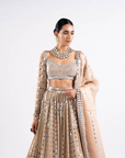 Beige Linear Drop Lehenga Set