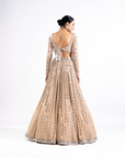 Beige Linear Drop Lehenga Set