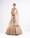 Beige Mirror Seam Lehenga With Mirror Blouse