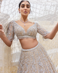 Nude Silver Lehenga Set