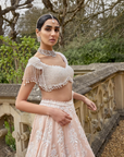 Powder Peach Pearl lehenga Set 2