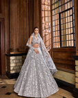 Metallic Silver Lehenga Set 1