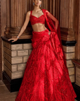 Red Paisley Lehenga Set