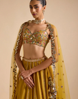 Dilruba Lehenga Set