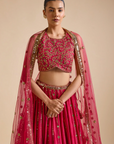 Rani Pink Lehenga Set