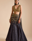 Black Mermaid Style Lehenga Set