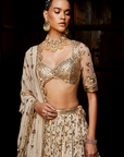 Naira Lehenga Set