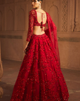 Gul Lehenga Set