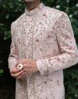 Primerose Sherwani