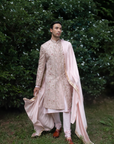 Primerose Sherwani