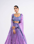 Mauve Linear Drop Lehenga Set