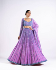 Mauve Linear Drop Lehenga Set