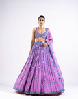 Mauve Linear Drop Lehenga Set