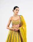 Moss Green Mirror Seam Lehenga Set