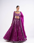 Pop Wine Linear Drop Lehenga Set