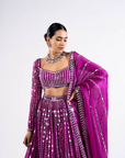 Pop Wine Linear Drop Lehenga Set