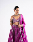 Pop Wine Linear Drop Lehenga Set