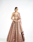 Deep Beige Chandelier Drop Lehenga Set