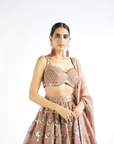 Deep Beige Chandelier Drop Lehenga Set