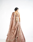 Deep Beige Chandelier Drop Lehenga Set