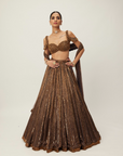 Copper Crystal Linear Embroidered Lehenga Set