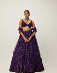 Royalty Purple Crystal Embroidered Lehenga Set