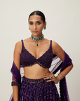 Royalty Purple Crystal Embroidered Lehenga Set