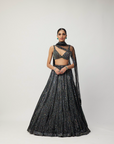 Black Crystal Linear Embroidered Lehenga Set