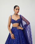 Cocktail Blue Sequins Embroidered Lehenga Set