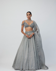 Crystal Grey Sequins Scattered Lehenga Set