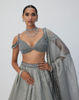 Crystal Grey Sequins Scattered Lehenga Set